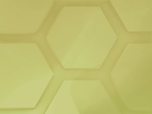 AI未来在金融风控中的实战案例